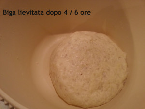 panettone2